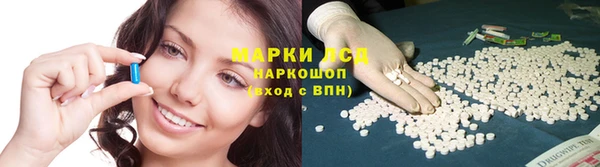 PSILOCYBIN Балабаново