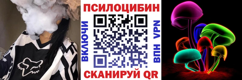 Псилоцибиновые грибы Cubensis  где можно купить   Кудымкар 